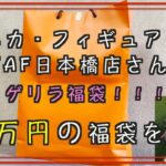 【ポケカ】ぴーげっつ史上最高額福袋開封！！