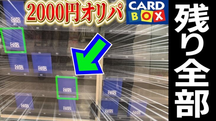 半年放置した売れ残りオリパを全部開封したら…！？【オリパ開封/ワンピースカードゲーム】