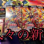 【遊戯王】久々に開封。この箱には理由がある。