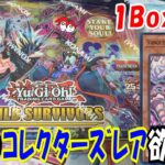 【遊戯王】英語版 ヴァンキッシュソウル 1Box開封【ワイルドサバイバーズ】