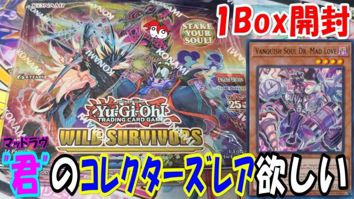 【遊戯王】英語版 ヴァンキッシュソウル 1Box開封【ワイルドサバイバーズ】