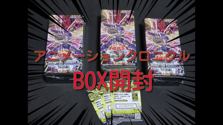 #遊戯王 【アニメーションクロニクル2023】BOX開封