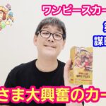 ワンピースカード開封 最新弾 謀略の王国１BOXを開封しました第３話【パンダ先生夫婦のワンピースカード】