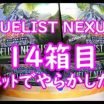 【遊戯王】DUELIST NEXUS 14箱目ネットで購入してしまいました