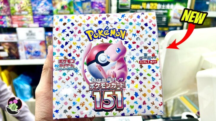 *NEW* Opening Pokemon Card 151 Booster Box ( ポケモンカード 151 イチゴーイチ 開封)