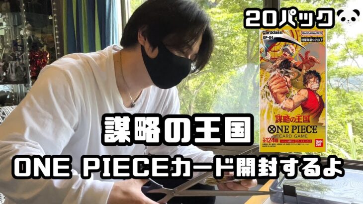 #everyday_life【ワンピースカード】33歳【会社員】が謀略の王国20パック開封するとある一日