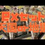 【ポケカ】exスペシャルセット大量開封‼️封入率検証します👍