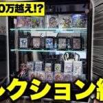 【ポケカ】値段もヤバいｗ激熱ポケカコレクションを詰め込んだディスプレイが完成したので早速紹介するゆっくり実況者【ポケカコレクション】推しの絶版ボックスと推しカードたちはまさに至高【ゆっくり実況】