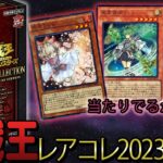 久しぶりにレアコレ開封しますよ！【遊戯王】