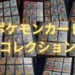 【ポケモンカード】ポケモンカードのコレクションを紹介してみた