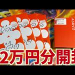 【開封動画】1万円オリパ12個開ける！！【ポケカ】