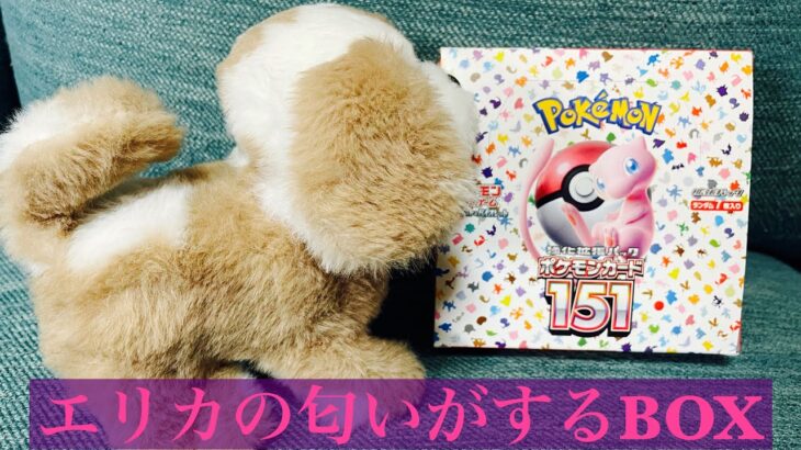 ポケモンカード151を1BOX開封！自引きにこだわり続ける！