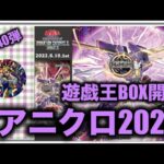 遊戯王パック開封 【第40弾】アニクロ2023を開封してウォーリアーを探した件について報告します。