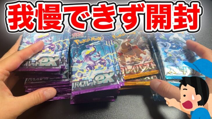 【ポケカ】ここまで貯め続けた55パックを我慢できず開封した結果