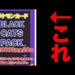 【開封動画】 BLACK CATS、当たり画像なしの高額オリパ買ってみた【ポケカ】