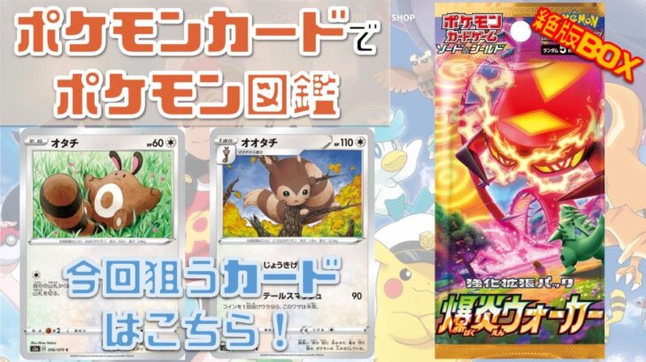 【ポケカでポケモン図鑑】絶版BOX爆炎ウォーカーを開封してオタチとオオタチを狙う！！