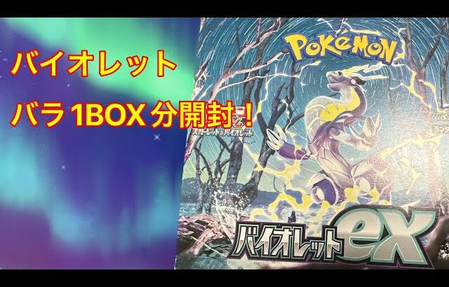 【ポケモンカード】バイオレットバラ１BOX開封#3【バイオレット】