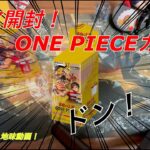 【ワンピースカード】ワンピースカードゲーム 謀略の王国１BOX開封！圧倒的ビビSEC狙い！！