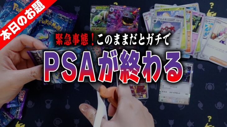 【ポケカ】PSAの現状がヤバい。このままだとPSAが終わるかも…そんなときに活用すべきなのは鑑定品の◯◯【ポケカ開封】