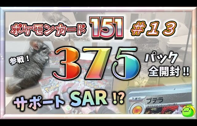 【ポケカ】 サポート SAR キター(ﾟ∀ﾟ)ー！！ ３７５パック高速全開封 !! SR 以上出るまでヤメれません!!  ポケモンカード１５１＃１３ 【pokemon card game】