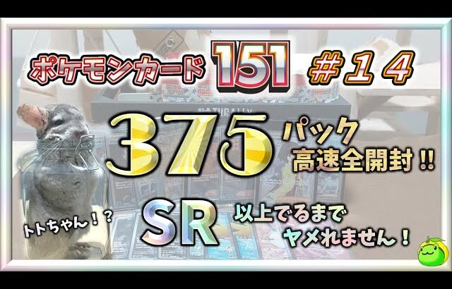 【ポケカ】 この色の SR は！？ ３７５パック高速全開封 !! SR 以上出るまでヤメれません!!  ポケモンカード１５１＃１４ 【pokemon card game】