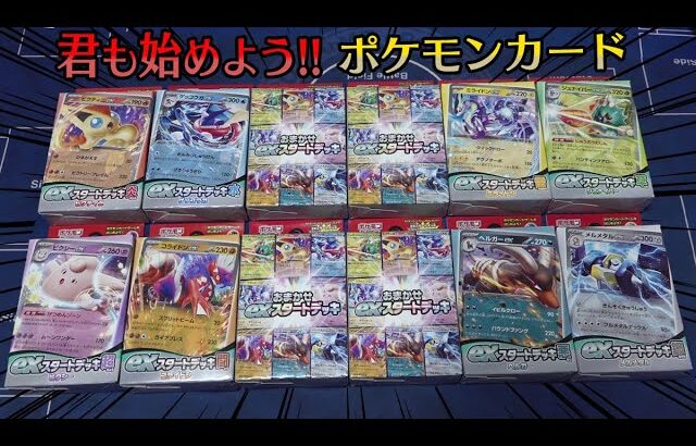 ポケモンカードをやるんだよ【本日発売 exスタートデッキ】