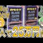 【ポケカ】高額なのに当たり枠が全て不明で『引けば分かる』とだけ書いてあったオリパをなな湖さんと売り切れまで全部買ってみたら衝撃すぎる結果になったwwwww【開封動画】