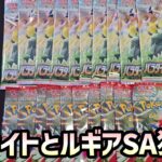 【ポケカ】パラダイムトリガーとスカーレット10Pずつ開封！【ポケモンカード151】【クレイバースト】【スノーハザード】