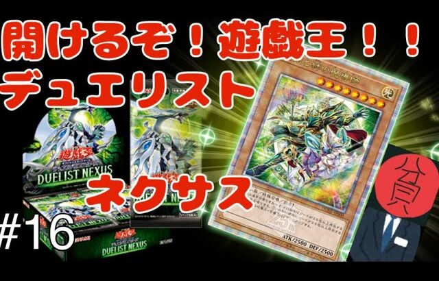 【遊戯王】【デュエリストネクサス】貧リーマン、結束と絆の魔導師狙いでデュエリストネクサスを開封する。＃16 #遊戯王 #遊戯王カード #開封 #開封動画