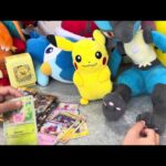 初動画【親子でポケモンカード開封】YouTubeスタートします！