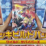 【遊戯王】あのカードが超強化！？新弾『デッキビルドパック ワイルド・サバイバーズ』を１箱開封！