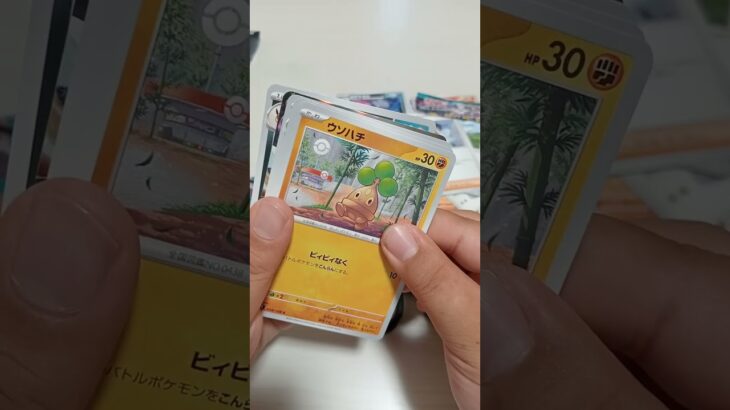 新しいポケモンカードパック開封してみた