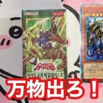 【遊戯王】ｎ回目の万物チャレンジします！韓国版ライズオブザデュエリスト開封！