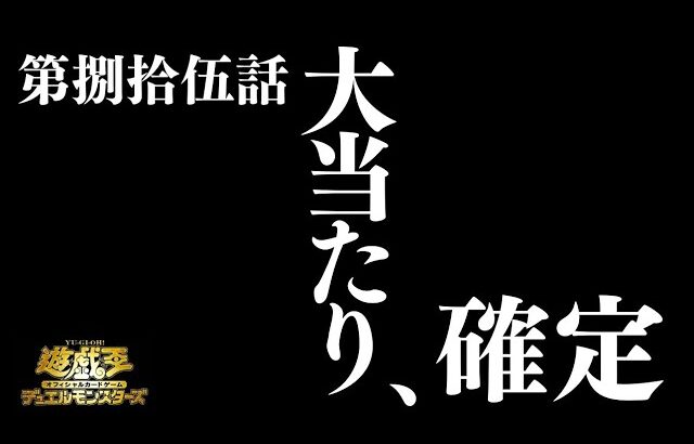 【遊戯王】大当たり、確定【神回】