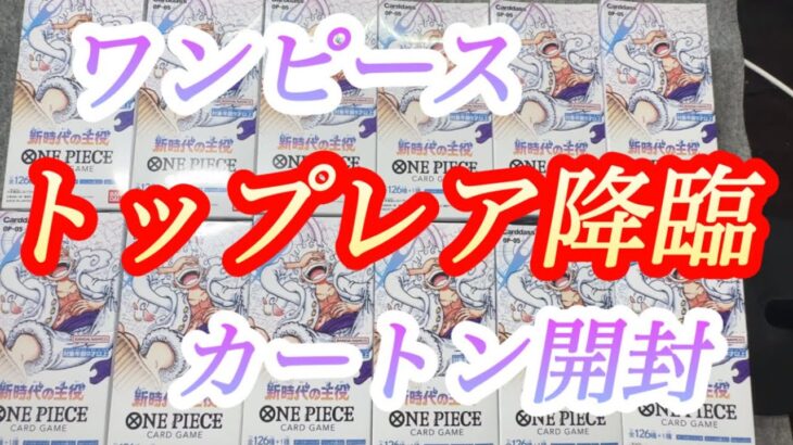 【ワンピースカードゲーム】【カートン開封】狙え！トップレアレア！