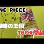 【ワンピース 】新時代の主役じゃなくてすいません。謀略の王国1BOX開封！