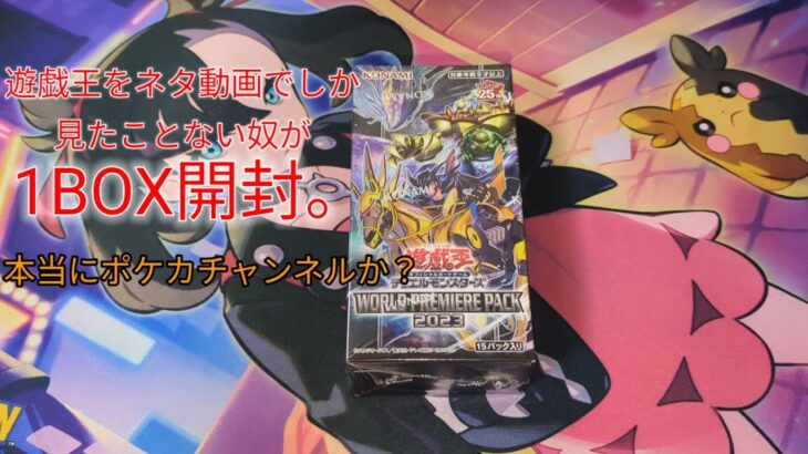 ネタ動画でしか遊戯王見たことない奴が1BOX開封！