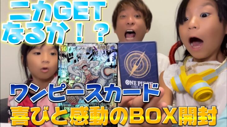 ワンピースカード1BOX＋16パック開封　ニカGETなるか！？