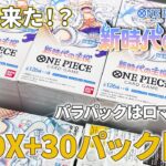 【ワンピースカード】新時代の主役開封！バラパックからあのカードが大量に！？初の2枚箱も！【開封動画】