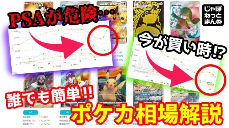 【知らないと負け】直近のポケモンカード相場がヤバい…2極化している暴落と高騰が意味するものとは？【ポケカ情報】