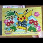 【オリパ開封】20000円オリパと大量のシングルカードを沖縄で買ってきた！【ポケモンカード】Ocean袋開封