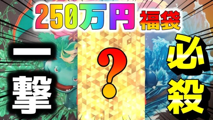 【ポケカ】250万円の超高額ポケカ福袋を開封！！天上天下唯我独尊の無慈悲な一撃に五条悟を垣間見ました【ポケモンカード】