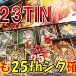 【遊戯王】25th Anniversary Tins Dueling Heroes 2BOX Opening!