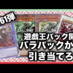 遊戯王パック開封 【第61弾】見ろ！これが現実だ！ 再び、たくさんパック開封をしたので、報告します。