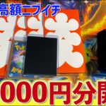 【開封動画】ニブイチを73,000円分買ってきました【ポケカ】