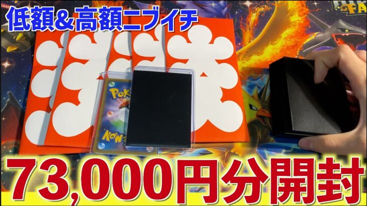 【開封動画】ニブイチを73,000円分買ってきました【ポケカ】