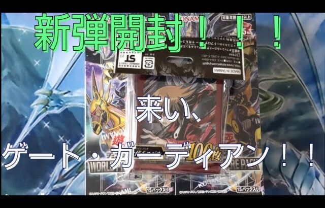 【開封動画】遊戯王新弾「WORLD PREMIERE PACK 2023」開封！ゲート・ガーディアン系カードは出るか…！？