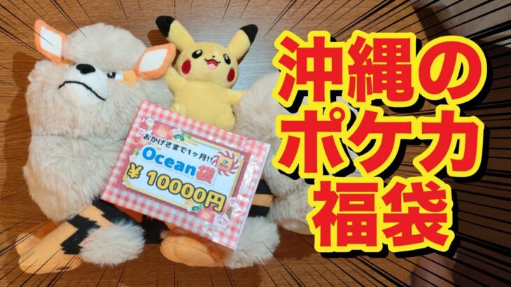 【オリパ開封】沖縄のカドショで１万円オリパ購入！ポケセンオキナワにも行ってきた！【ポケモンカード】