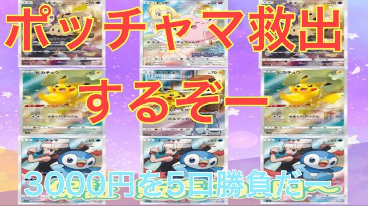 【トレカレコード】ポッチャマ救出しにいった件【ポケカ】【オリパ開封】