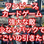 【ワンピース】強大な敵を少ないパックで神引きしたい！！【カードゲーム】